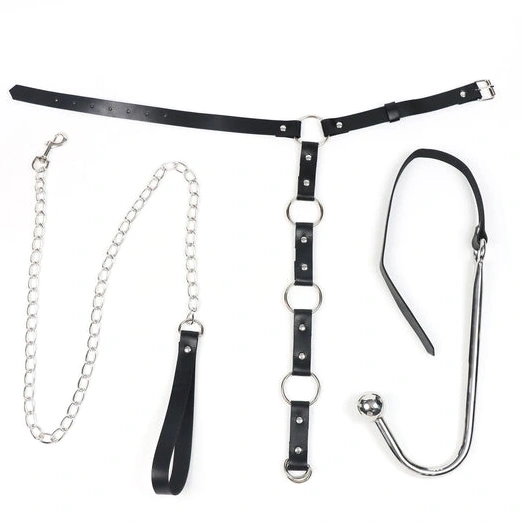 Anal Collar 5853 with and Leash EverydayUse Hook Kinky 1105
